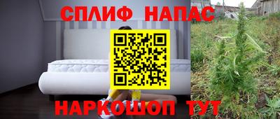 соль ск Будённовск