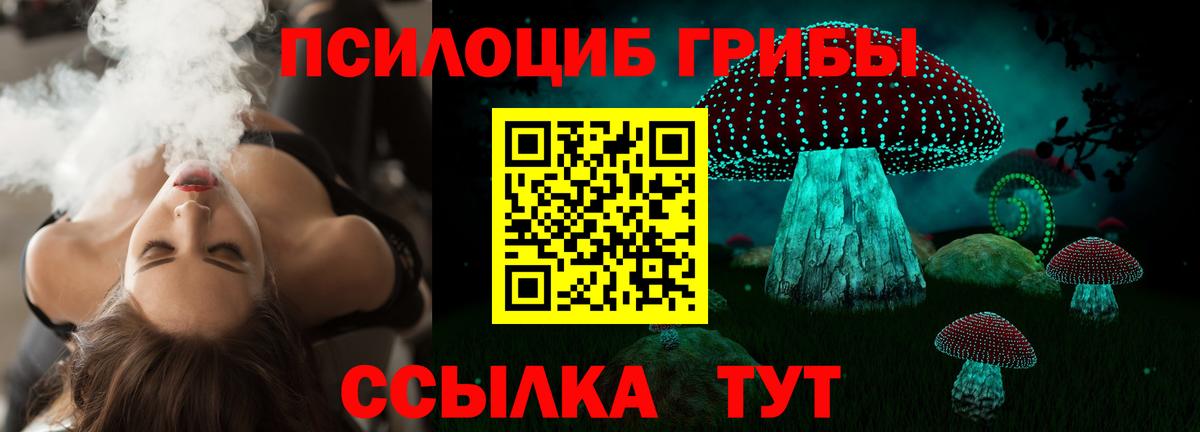 Галлюциногенные грибы GOLDEN TEACHER  Вход с VPN  Санкт-Петербург 